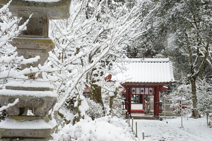 妻垣神社 雪