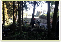 妻垣神社 杉林の清掃